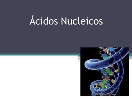 Ácidos Nucleicos.