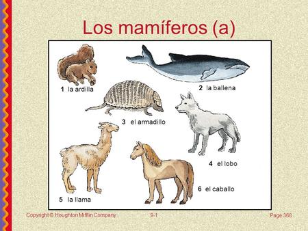 Los mamíferos (a) 1 la ardilla 2 la ballena 3 el armadillo 4 el lobo 6