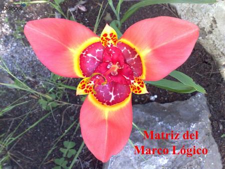 Matriz del Marco Lógico.