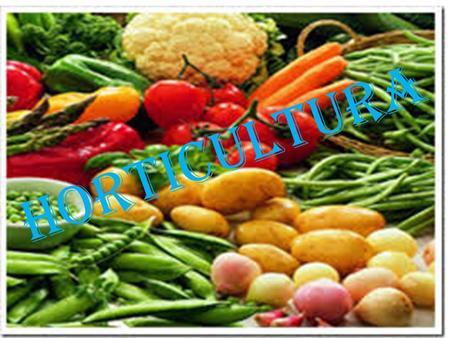 HORTICULTURA.