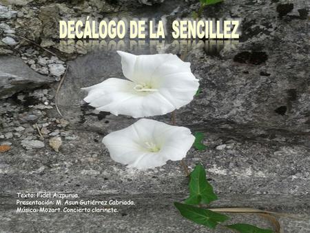 DECÁLOGO DE LA SENCILLEZ