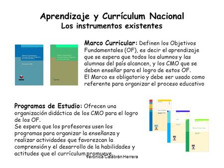 Aprendizaje y Currículum Nacional Los instrumentos existentes