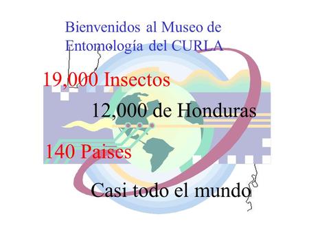 19,000 Insectos 12,000 de Honduras 140 Paises Casi todo el mundo