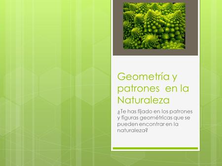 Geometría y patrones en la Naturaleza