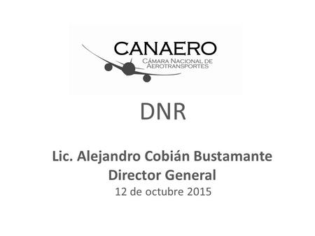 Lic. Alejandro Cobián Bustamante