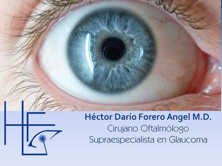 El Dr. Héctor Darío Forero tiene más de 20 años de experiencia en el tratamiento médico y quirúrgico de patologías oculares..