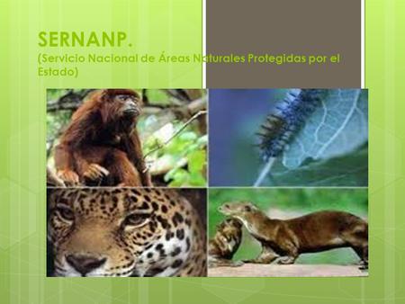 SERNANP. (Servicio Nacional de Áreas Naturales Protegidas por el Estado)