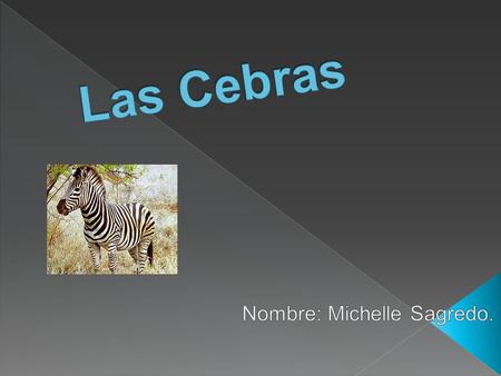Nombre: Michelle Sagredo.