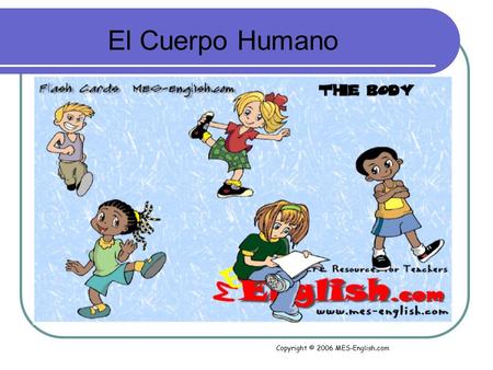 Copyright © 2006 MES-English.com El Cuerpo Humano.