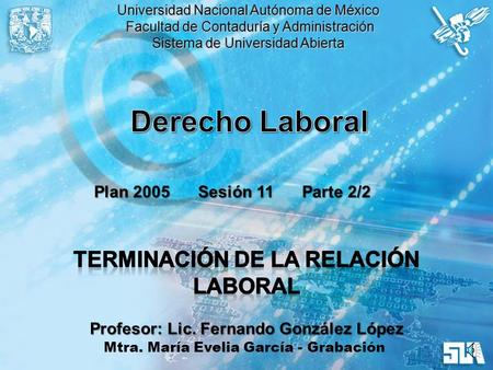 Derecho Laboral Terminación de la Relación Laboral Plan 2005 Sesión 11