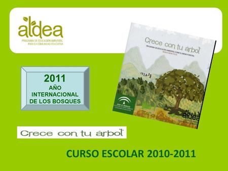 AÑO INTERNACIONAL DE LOS BOSQUES