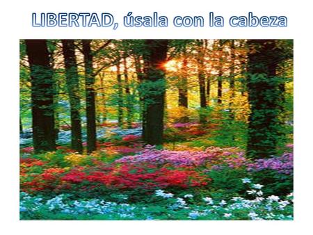No digas “pienso lo que quiero”, forma la LIBERTAD.