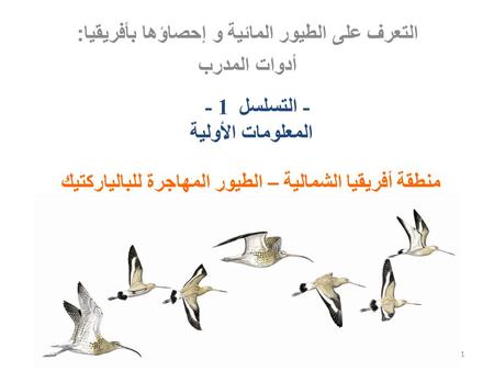 التعرف على الطيور المائية و إحصاؤها بأفريقيا: أدوات المدرب