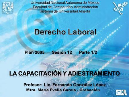 Derecho Laboral La Capacitación y Adiestramiento Plan 2005 Sesión 12