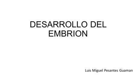 DESARROLLO DEL EMBRION