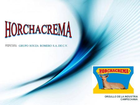 PROPIETARIA: GRUPO SOUZA ROMERO S.A. DE C.V.