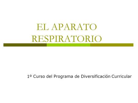 EL APARATO RESPIRATORIO