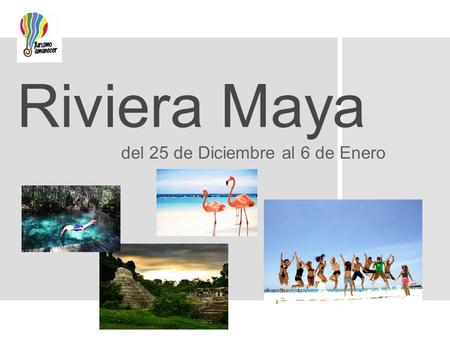 Riviera Maya del 25 de Diciembre al 6 de Enero. Incluye:  * 10 noches en HOTEL  * TRANSPORTE autobús modelo irizar 46 pasajeros o camioneta sprinter.