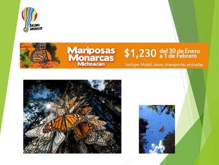 Santuario de las mariposas monarca El otoño marca el inicio de uno de los eventos mas bellos que la naturaleza nos regala, la llegada de las mariposas.