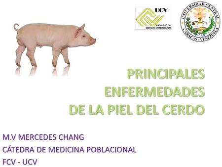 PRINCIPALES ENFERMEDADES DE LA PIEL DEL CERDO
