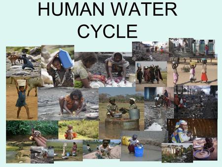 HUMAN WATER CYCLE.