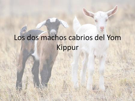 Los dos machos cabrios del Yom Kippur