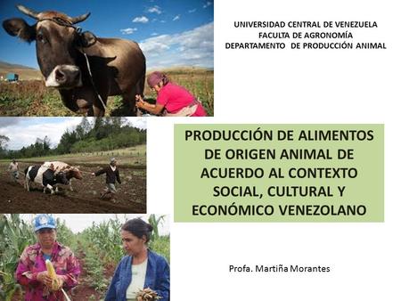 UNIVERSIDAD CENTRAL DE VENEZUELA DEPARTAMENTO DE PRODUCCIÓN ANIMAL