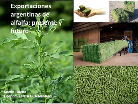 Exportaciones argentinas de alfalfa: presente y futuro