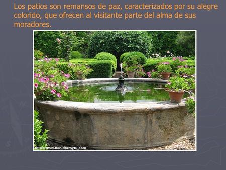 Los patios son remansos de paz, caracterizados por su alegre colorido, que ofrecen al visitante parte del alma de sus moradores.