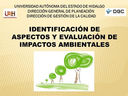 IDENTIFICACIÓN DE ASPECTOS Y EVALUACIÓN DE IMPACTOS AMBIENTALES