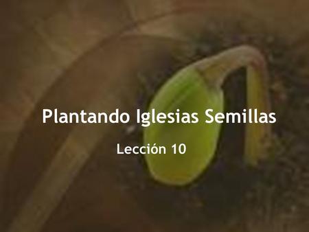 Plantando Iglesias Semillas
