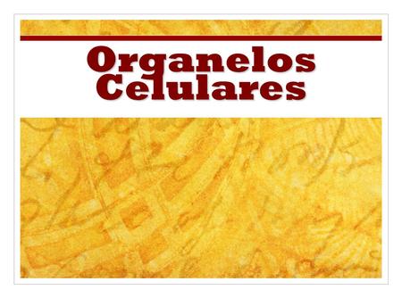 Organelos Celulares Use this presentation in conjunction with the Cell Organelle note-taking worksheet.