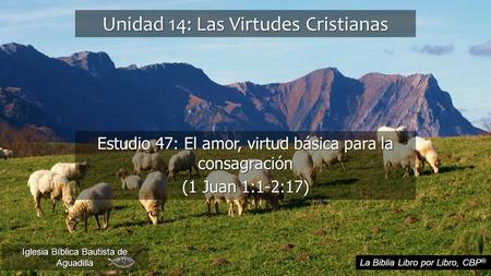 Unidad 14: Las Virtudes Cristianas