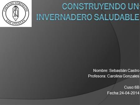 Nombre: Sebastián Castro Profesora: Carolina Gonzales Cuso:6B Fecha:24-04-2014.