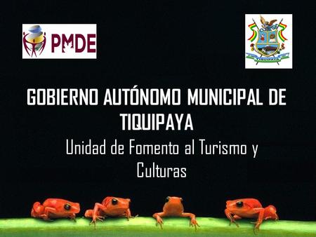 GOBIERNO AUTÓNOMO MUNICIPAL DE TIQUIPAYA