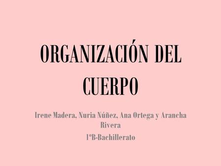 ORGANIZACIÓN DEL CUERPO Irene Madera, Nuria Núñez, Ana Ortega y Arancha Rivera 1ºB-Bachillerato.