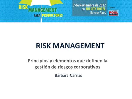 Principios y elementos que definen la gestión de riesgos corporativos