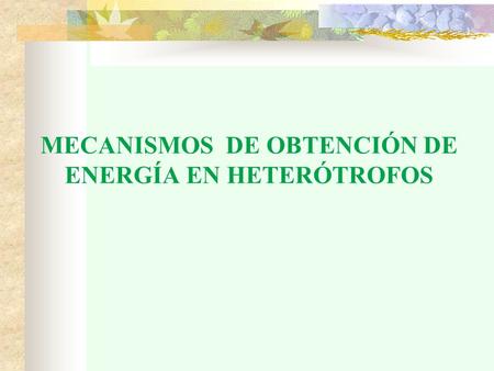 Mecanismos de obtención de energía en heterótrofos