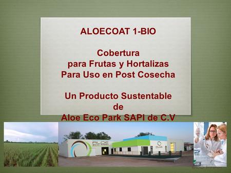 para Frutas y Hortalizas Para Uso en Post Cosecha