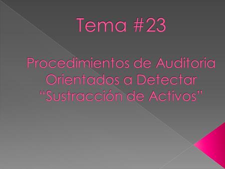 Tema #23 Procedimientos de Auditoria Orientados a Detectar “Sustracción de Activos”