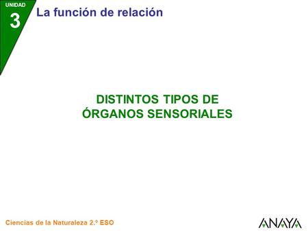 DISTINTOS TIPOS DE ÓRGANOS SENSORIALES