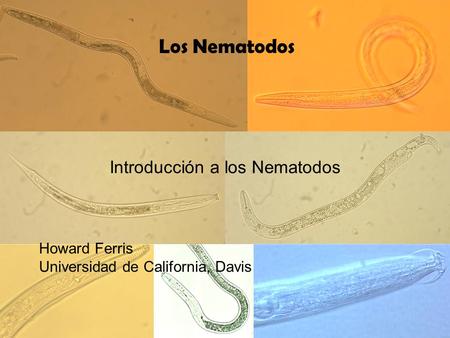 Introducción a los Nematodos