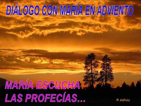 Te invito a sentir a María como la protagonista de este tiempo litúrgico, y a vivir la liturgia del adviento con la Madre del Verbo que espera... En.