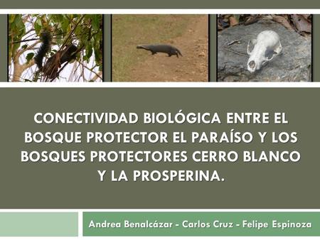 Andrea Benalcázar - Carlos Cruz - Felipe Espinoza