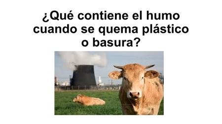 ¿Qué contiene el humo cuando se quema plástico o basura?