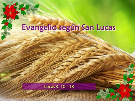 Evangelio según San Lucas Lucas 3, 10 - 18 Lectura del Santo Evangelio según san Lucas (3, 10 - 18) Gloria a ti, Señor.