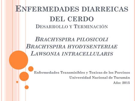 Enfermedades diarreicas del cerdo Desarrollo y Terminación Brachyspira pilosicoli Brachyspira hyodysenteriae Lawsonia intracellularis Enfermedades Transmisibles.
