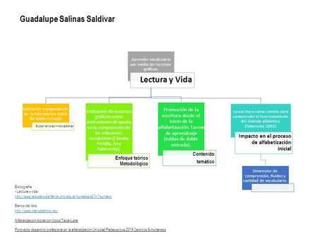 Aprender vocabulario por medio de recursos gráficos Lectura y Vida Ilustración y organización de la información (tabla de doble entrada) Experiencias Innovadoras.