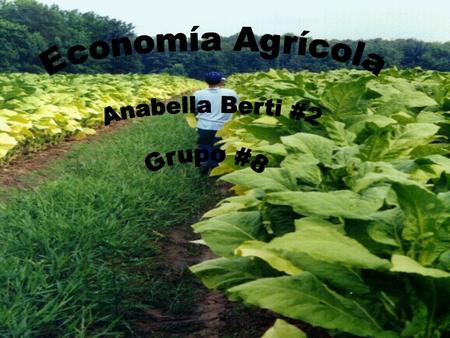 Economía Agrícola Anabella Berti #2 Grupo #8.