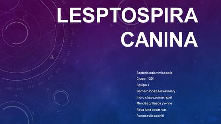 LESPTOSPIRA CANINA Bacteriologia y micología Grupo: 1301 Equipo 1